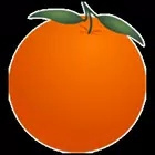 金桔社交浏览器