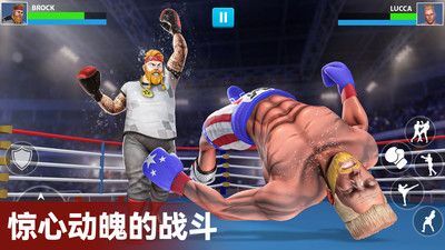 拳击明星对决(4)