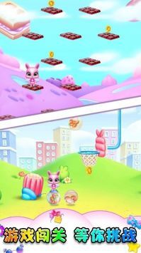 小动物大派对(1)