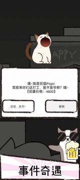猫咪跳舞俱乐部(1)