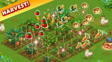 家庭冒险农场(3)