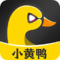 小黄鸭视频