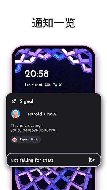 NiagaraLauncher汉化版图4