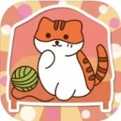 猫咪怎么这么懒