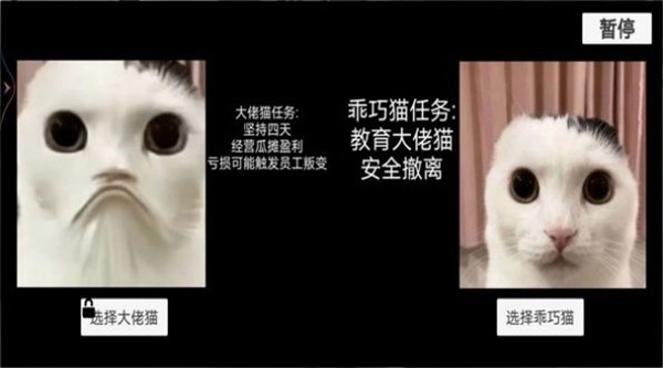 猫猫惊魂夜手机正版图1