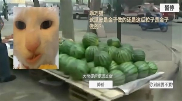 猫猫惊魂夜手机正版图2