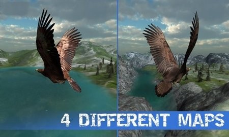 野鹰模拟器(3)