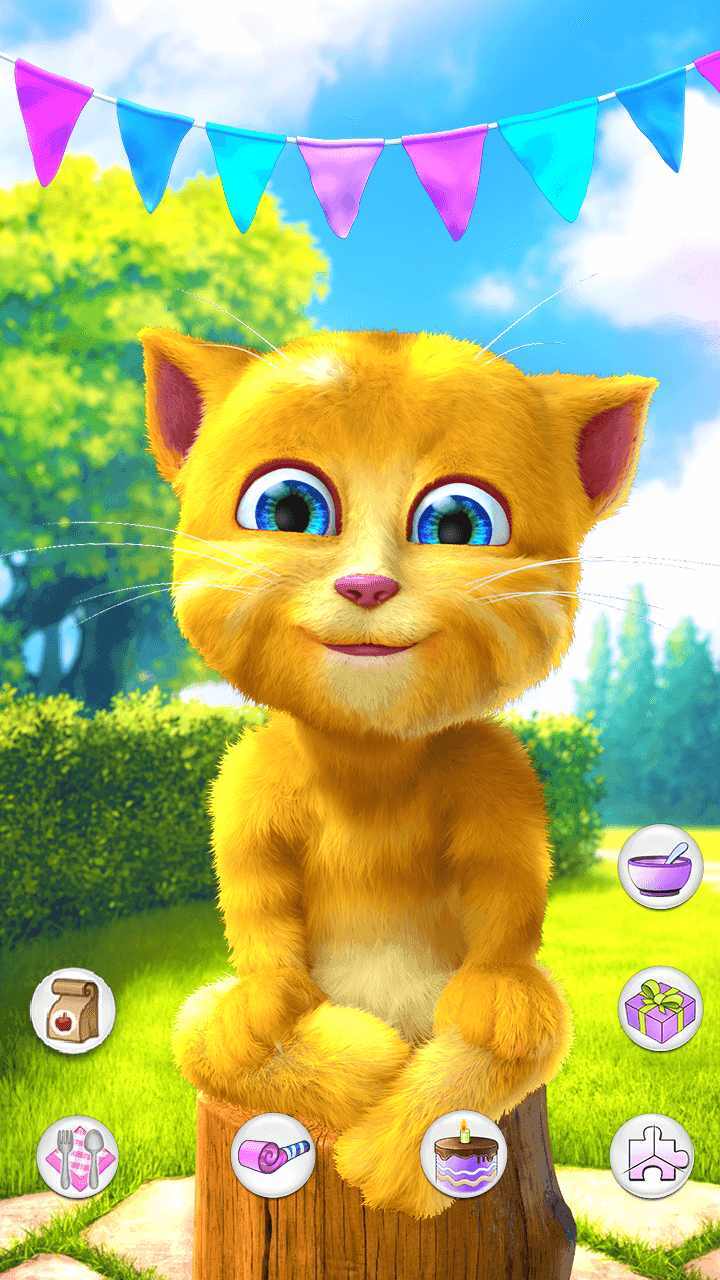 会说话的金杰图2