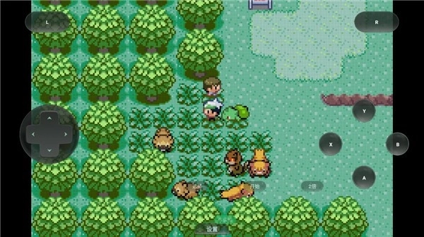 口袋妖怪格查尔