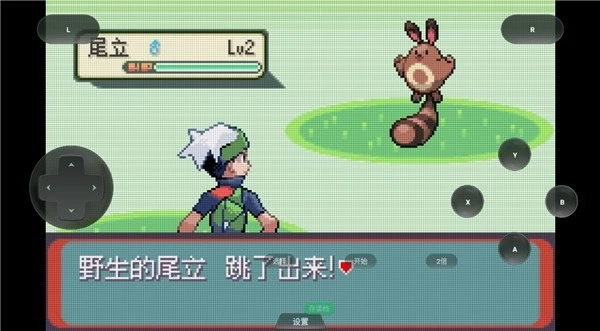 口袋妖怪格查尔