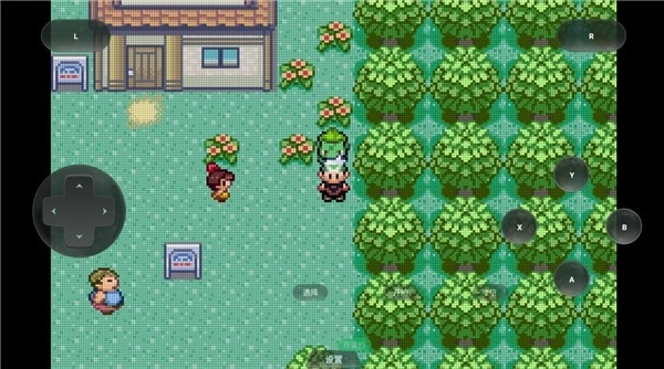 口袋妖怪格查尔