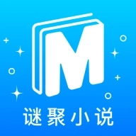 谜聚小说