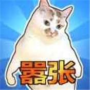 这只猫有毒