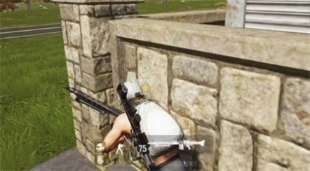 王牌特种精英(3)