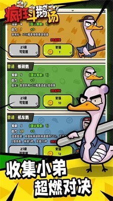 疯狂斗鹅场(1)