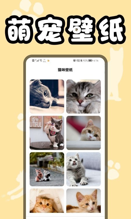 猫猫翻译器(3)