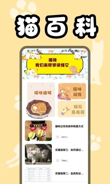 猫猫翻译器(1)
