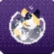 对人类过敏的猫