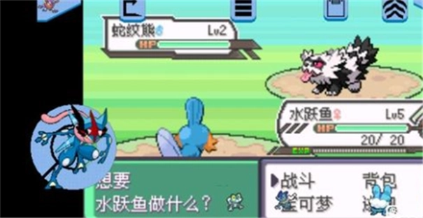 究极绿宝石汉化版