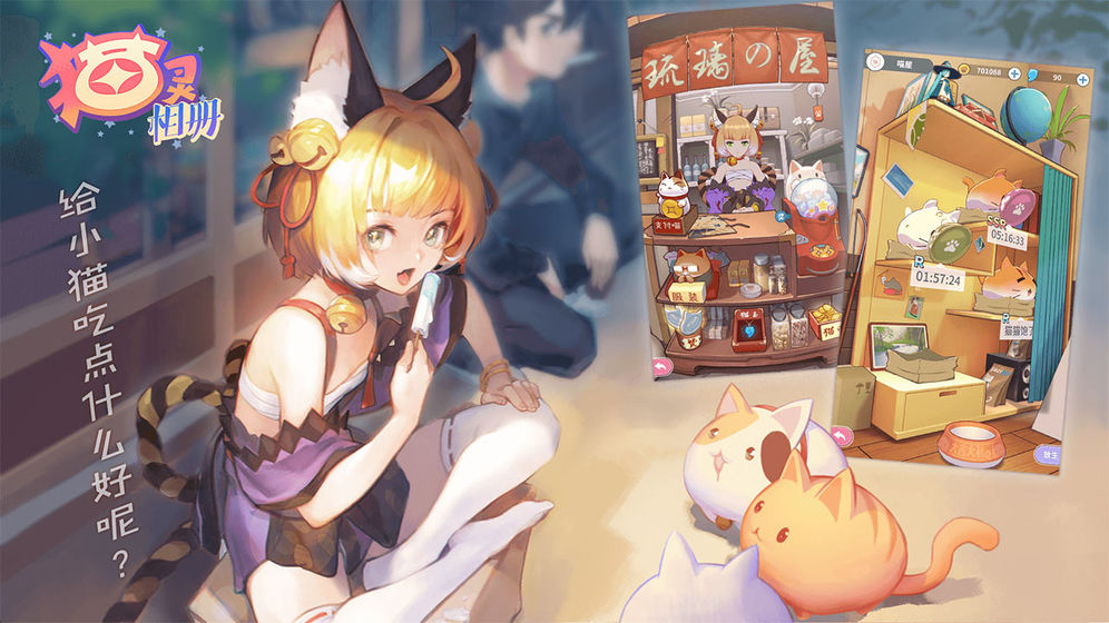 猫灵相册(2)