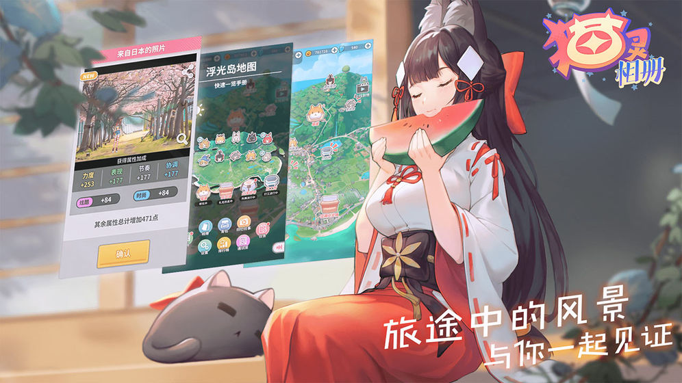 猫灵相册(5)