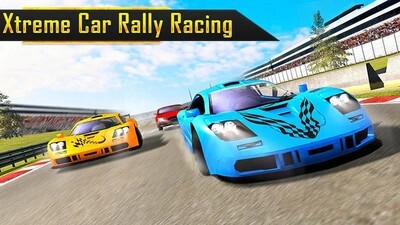 拉力赛车驾驶(3)