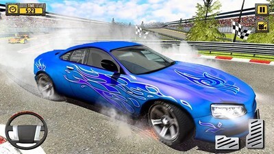 拉力赛车驾驶(1)