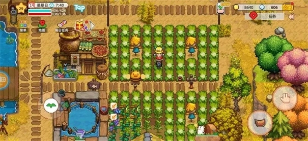 奶牛镇的小时光国际服