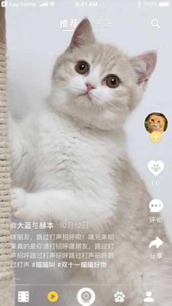 皮克方(1)