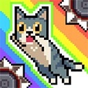 猫咪跳跃