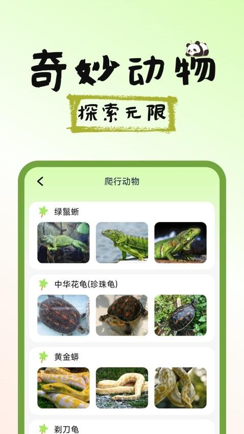 图图宠物百科(3)