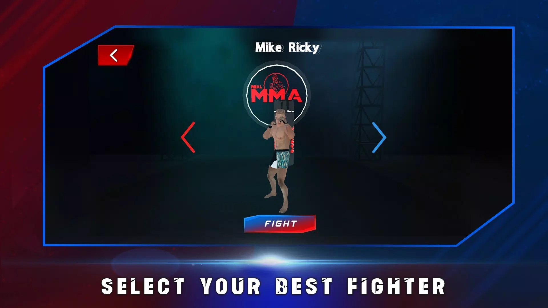 真正的综合格斗(2)