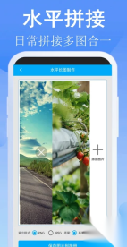 长图拼接师(3)