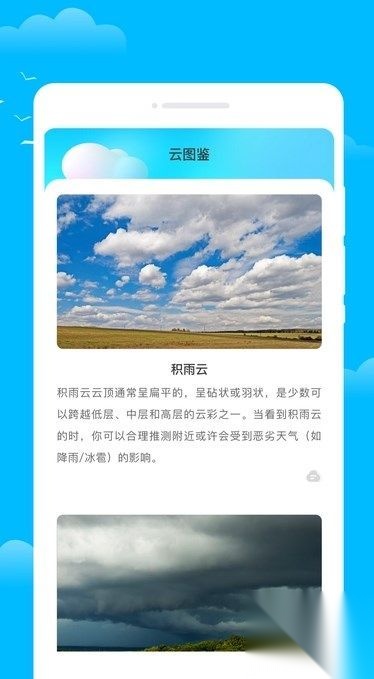 摇光天气(4)