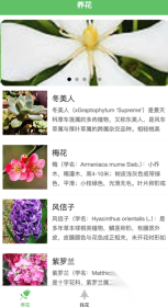 绿萌花园(1)