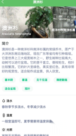 绿萌花园(2)
