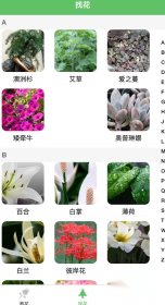 绿萌花园(3)