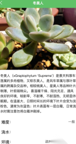 绿萌花园(4)