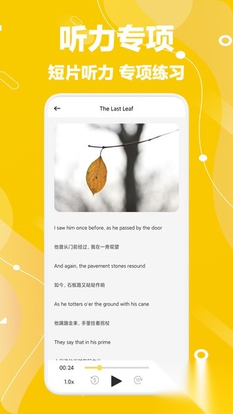 奥拉丁单词本图4