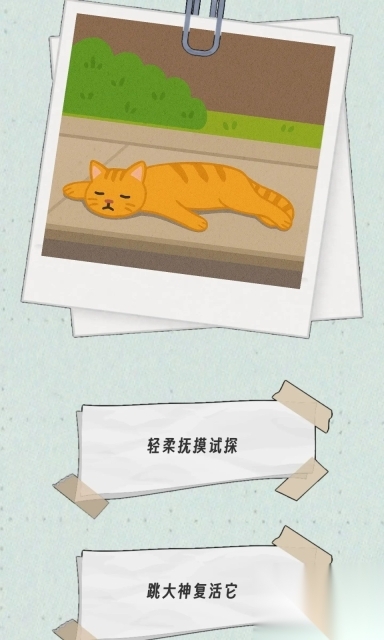 种出一朵小红花图2