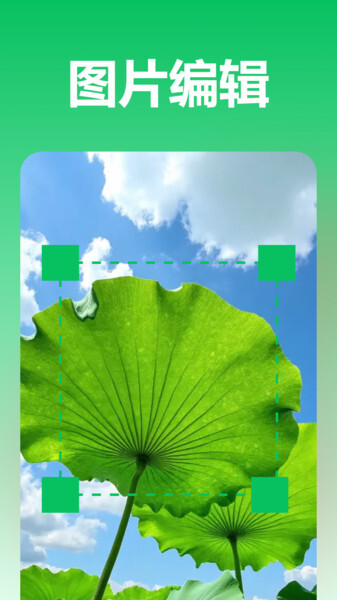 极光录音转文字图3