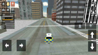 警察公路巡查(2)