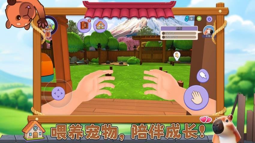 宠物消不停图3