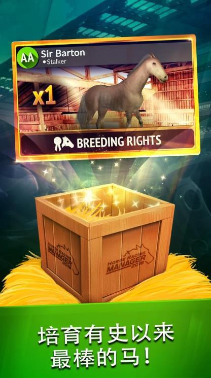 2026年度赛马经理图1