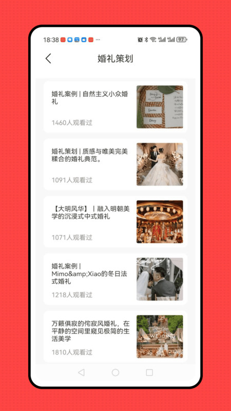 婚礼纪备婚新娘结婚小助手(2)