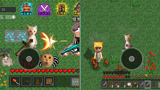 双人生存求生(2)