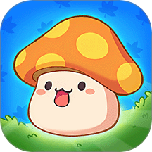 冒险岛枫之新篇