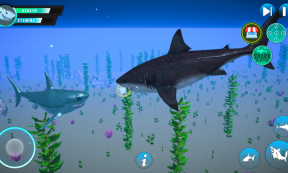 鲨鱼水下生存模拟图3