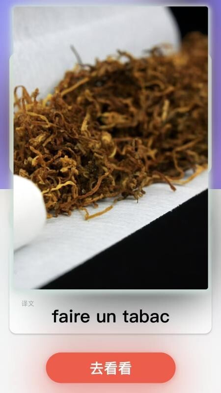 西班牙语翻译(4)