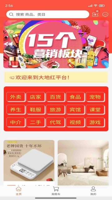 大地红超级市场(4)